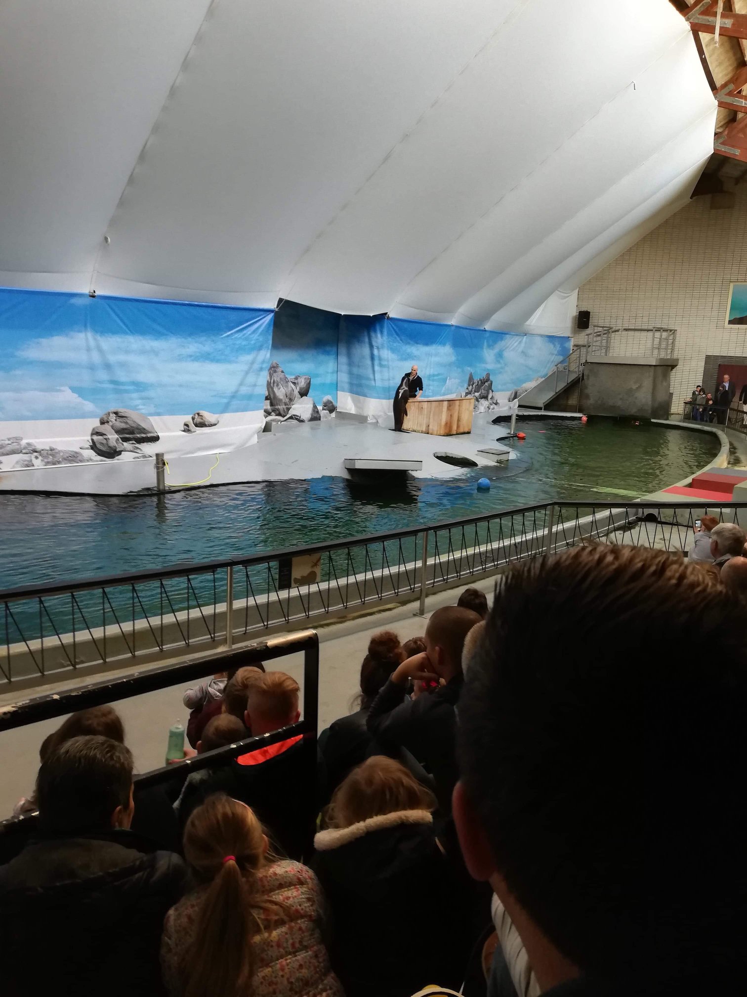 Sint-Martinus den XIIde - Zoo Antwerpen Kapoenen